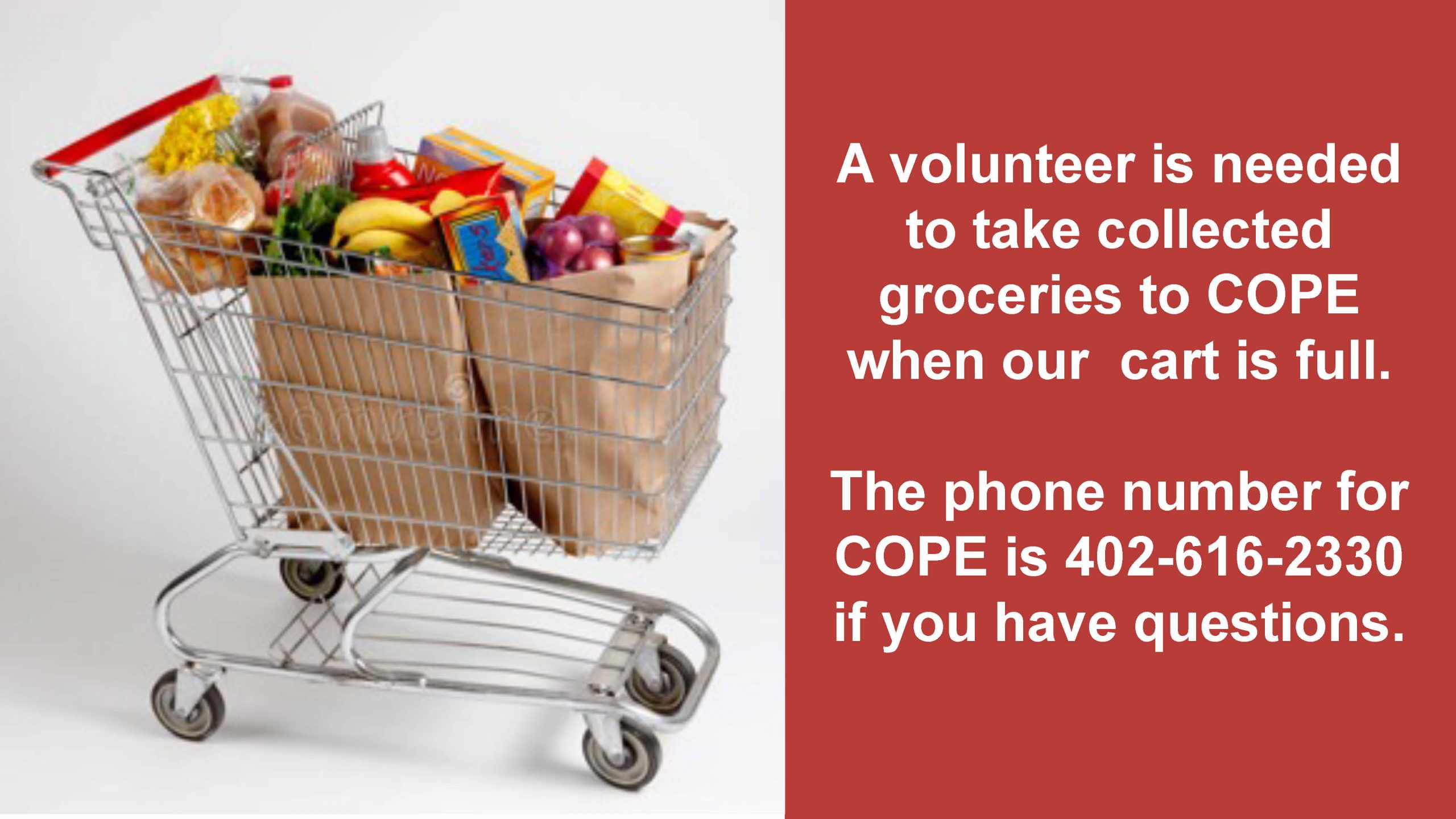 Grocery Volunteer